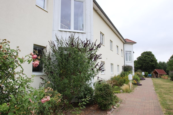 Foto van Appartement in Seedomizil Kummerow - Vakantiehuis in Kummerow - ExteriorSummer