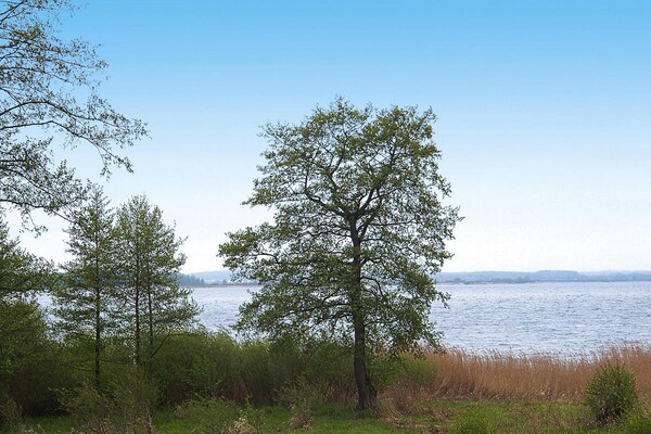 Foto van Appartement in Seedomizil Kummerow - Vakantiehuis in Kummerow - ViewSummer