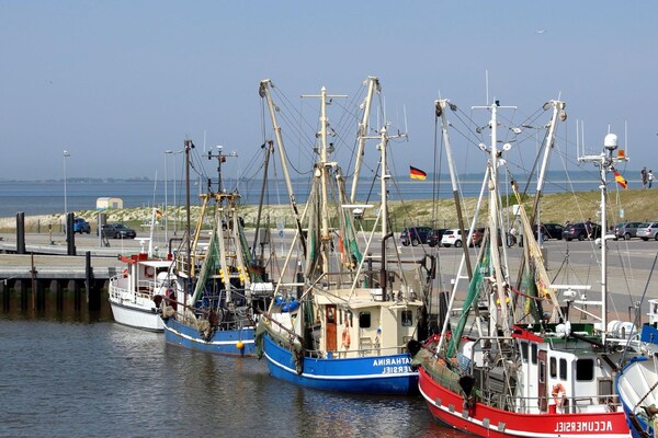 Foto van Vakantiehuis Wattperlchen in Dornum - Vakantiehuis in Neßmersiel - AreaSummer5KM