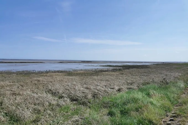 Foto van Vakantiebungalow in Dornumersiel - Vakantiehuis in Dornumersiel - AreaSummer1KM