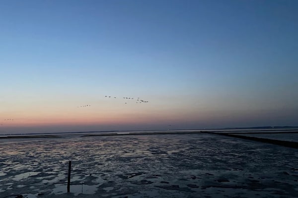 Foto van Vakantiebungalow in Dornumersiel - Vakantiehuis in Dornumersiel - AreaSummer5KM