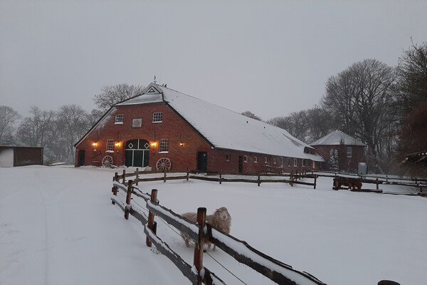 Foto van Appartement Landhaus Markus, Süderschwei - Vakantiehuis in Süderschwei - ExteriorWinter