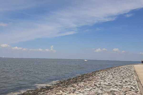 Foto van Appartement Landhaus Markus, Süderschwei - Vakantiehuis in Süderschwei - AreaSummer1KM
