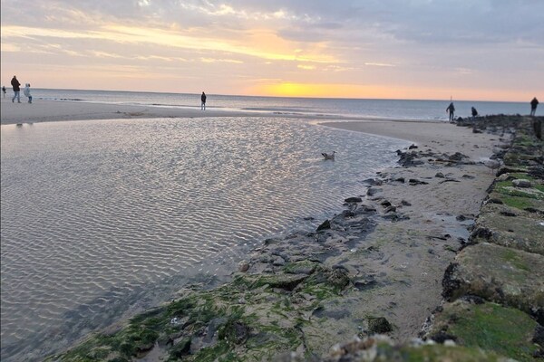 Foto van Vakantieappartement in Westerland - Vakantiehuis in Westerland - AreaSummer5KM