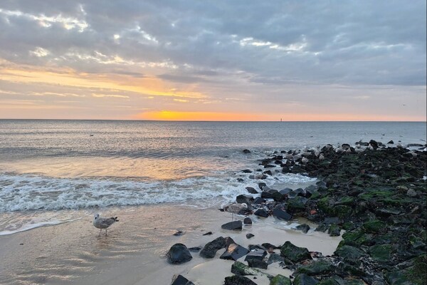 Foto van Appartement in Westerland op Sylt - Vakantiehuis in Westerland - AreaSummer5KM