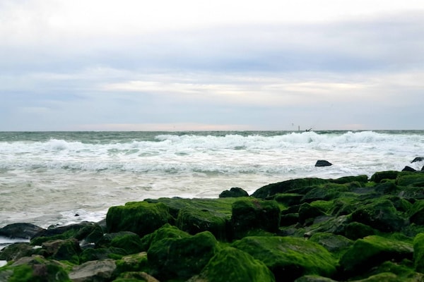 Foto van Appartement in Westerland op Sylt - Vakantiehuis in Westerland - AreaSummer5KM