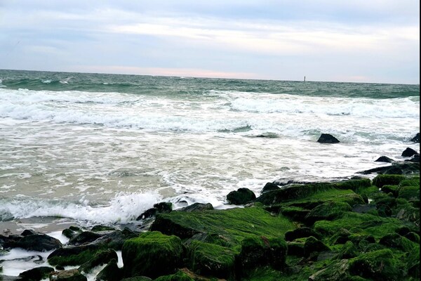 Foto van Appartement in Westerland op Sylt - Vakantiehuis in Westerland - AreaSummer5KM