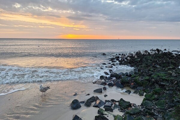 Foto van Appartement in Westerland op Sylt - Vakantiehuis in Westerland - AreaSummer5KM