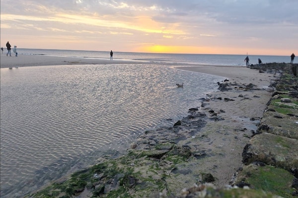 Foto van Vakantieappartement in Westerland op Sylt - Vakantiehuis in Westerland - AreaSummer5KM