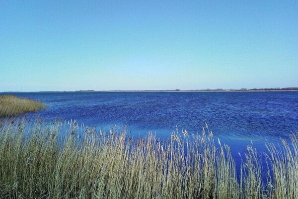Foto van Vakantiehuis in Vieregge met terras - Vakantiehuis in Vieregge - AreaSummer1KM