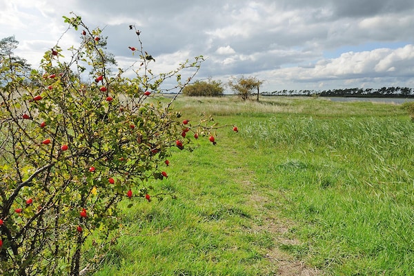 Foto van Landgoed Zicker in Garz - Vakantiehuis in Garz - GardenSummer