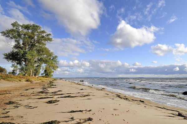 Foto van Landgoed Zicker in Garz - Vakantiehuis in Garz - WaterView