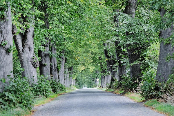 Foto van Landgoed Zicker in Garz - Vakantiehuis in Garz - GardenSummer