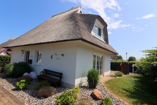 Foto van Vakantiehuis Weiße Düne, Zinnowitz - Vakantiehuis in Zinnowitz - ExteriorSummer