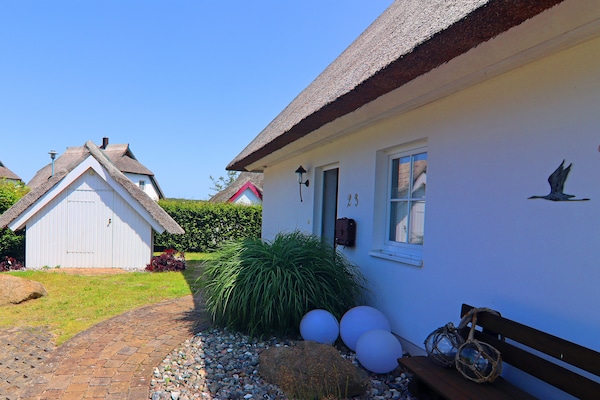 Foto van Vakantiehuis Weiße Düne, Zinnowitz - Vakantiehuis in Zinnowitz - ExteriorSummer