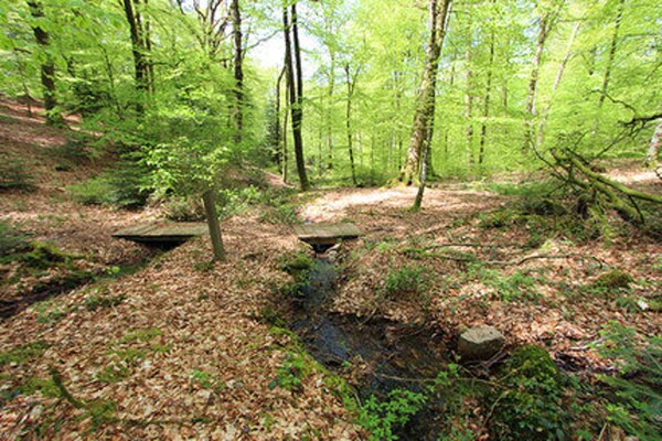 Foto van Vakantiehuis bij Kasteel Lichtenberg - Vakantiehuis in Reipertswiller - AreaSummer5KM