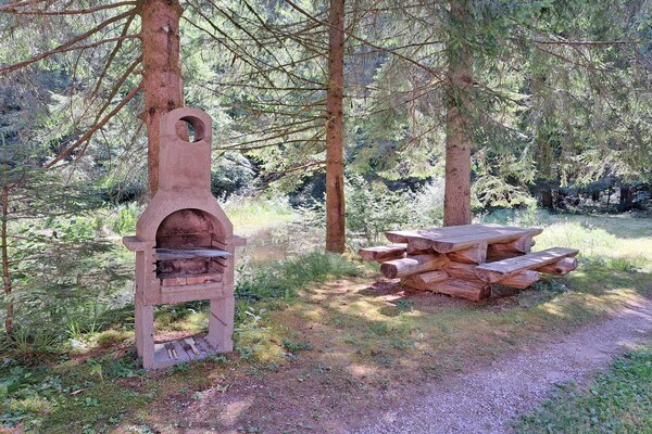 Foto van Appartement in de Elzas met Natuurbeleving - Vakantiehuis in Dabo - GardenSummer