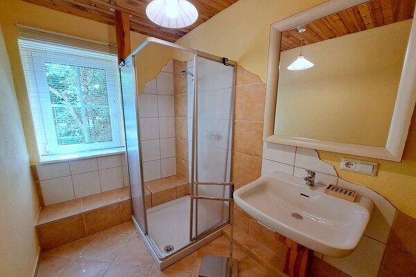 Foto van Appartement in de Elzas met Natuurbeleving - Vakantiehuis in Dabo - BathRoom