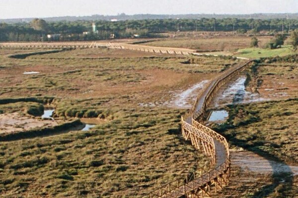 Foto van Terrasverblijf dicht bij stranden - Vakantiehuis in Playa Blanca - AreaSummer20KM
