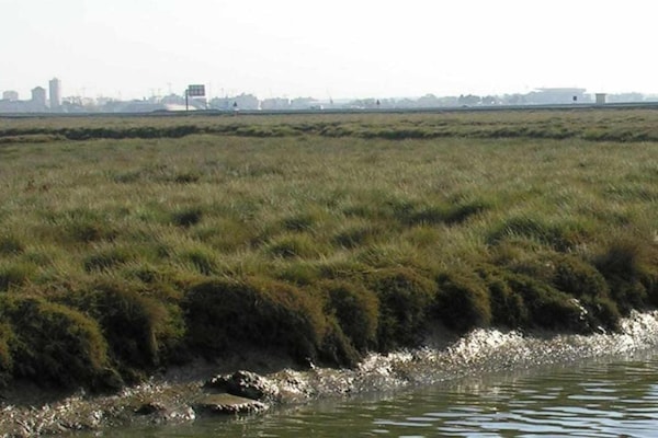 Foto van Appartement met terras aan de oceaan - Vakantiehuis in Pontevedra - AreaSummer20KM
