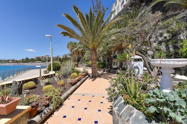 Foto van Studio op Gran Canaria bij zandstranden - Vakantiehuis in Maspalomas - AreaSummer1KM