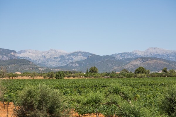 Foto van Villa in Binissalem met Zoutwaterzwembad - Vakantiehuis in Binissalem, Illes Balears - 