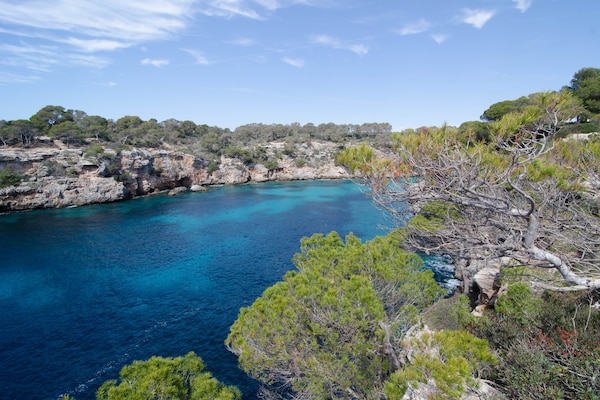Foto van Rustig kustappartement - Vakantiehuis in Cala Pi, Illes Balears - AreaSummer5KM