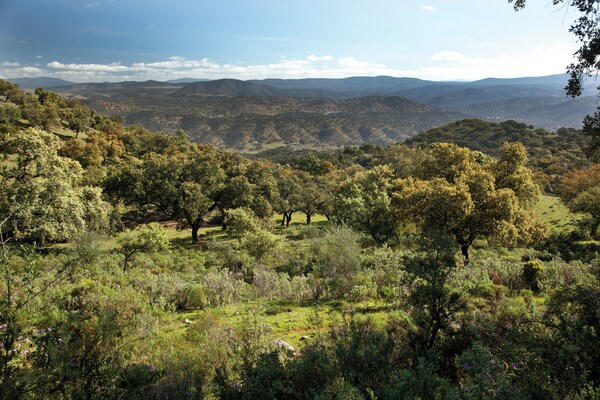 Foto van La Cigüeña, Huis in Molino - Vakantiehuis in Alájar - AreaSummer20KM
