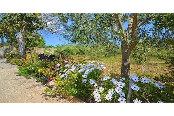Foto van Cottage in Búger met Zwembad en Uitzicht - Vakantiehuis in Buger - GardenSummer