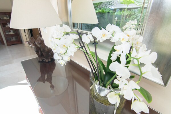 Foto van Villa in Marratxí bij Fashion Outlet - Vakantiehuis in Marratxí - Landing