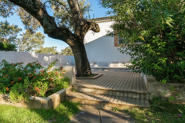 Foto van Vakantiehuis in Tajo-reservaat met zwembad - Vakantiehuis in Herrera de Alcántara - GardenSummer