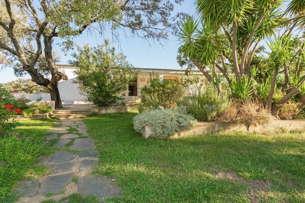 Foto van Vakantiehuis in Tajo-reservaat met zwembad - Vakantiehuis in Herrera de Alcántara - ExteriorSummer