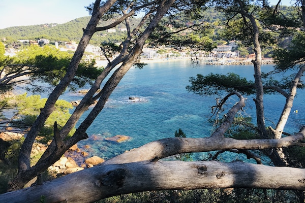 Foto van Appartement in Llafranc bij rustig strand - Vakantiehuis in Llafranc - AreaSummer1KM