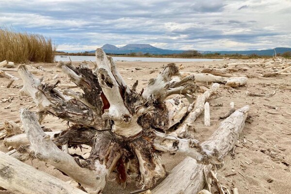 Foto van Appartement aan zee in Estartit met tuin - Vakantiehuis in Estartit - AreaSummer1KM