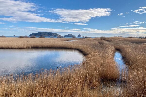 Foto van Appartement in Estartit met tuin - Vakantiehuis in Estartit - AreaSummer1KM