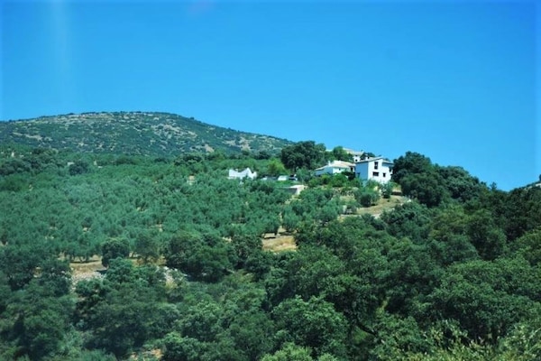 Foto van Landhuis in Andalusië met Zwembad - Vakantiehuis in Andalucía - AreaSummer5KM