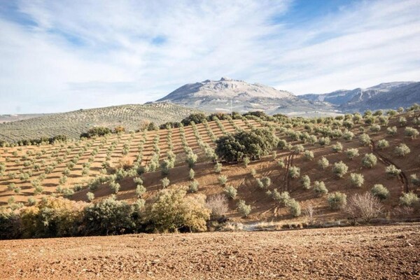 Foto van Berghut met zwembad - Vakantiehuis in Alfarnate - AreaSummer20KM