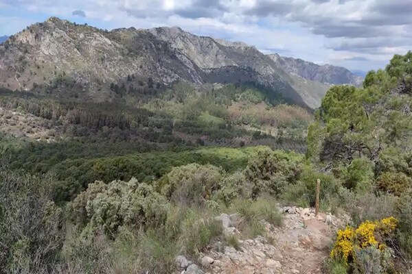 Foto van Prachtig appartement met uitzicht - Vakantiehuis in Ojen - AreaSummer20KM