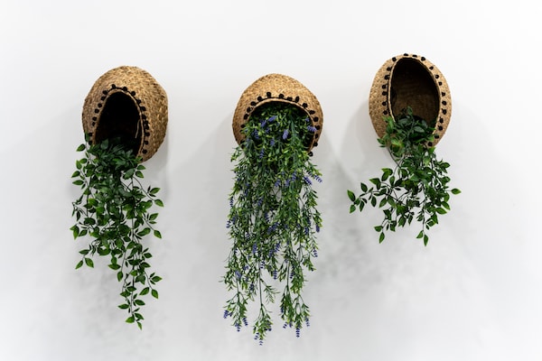 Foto van Huis in Las Palmas bij Las Canteras - Vakantiehuis in Las Palmas de Gran Canaria - Ambiance