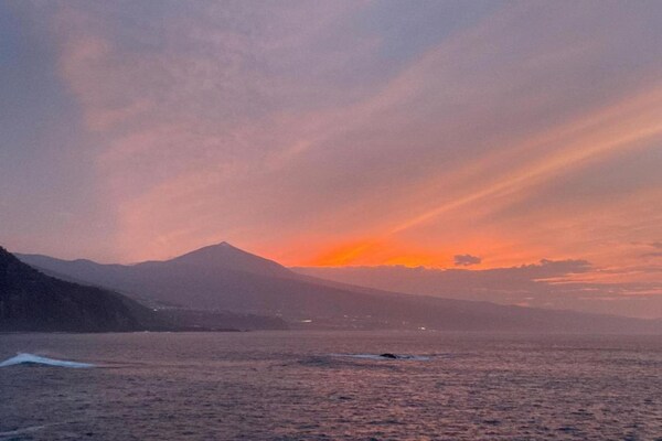 Foto van Vakantiehuis Mesa del Mar bij zwart strand - Vakantiehuis in Tacoronte - AreaSummer20KM
