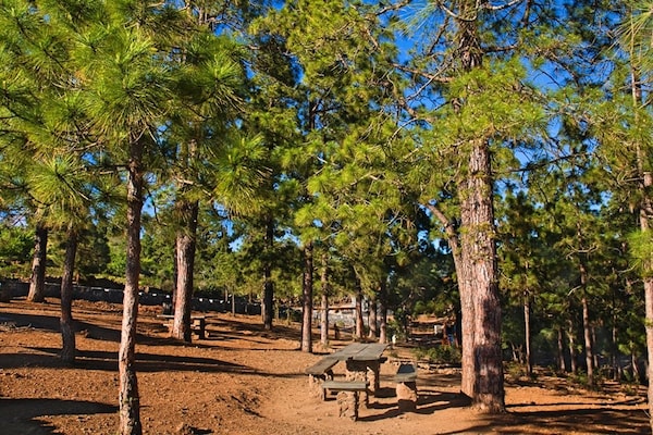 Foto van Vakantiehuis op Tenerife met Tuin - Vakantiehuis in Ojo Blanco - AreaSummer5KM