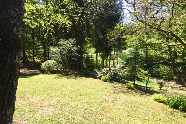 Foto van Chalet bij Bitche met Privé Sauna - Vakantiehuis in Bousseviller - GardenSummer