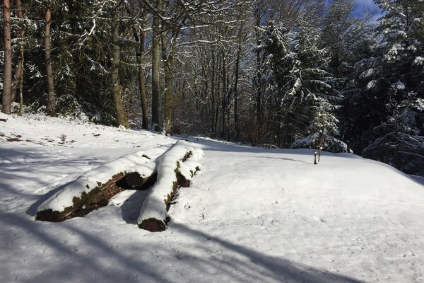 Foto van Chalet bij Bitche met Privé Sauna - Vakantiehuis in Bousseviller - AreaWinter20KM