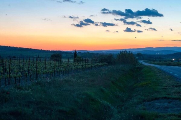 Foto van Villa in Pouzols met privézwembad & wijngaarden - Vakantiehuis in Pouzols Minervois - AreaSummer5KM
