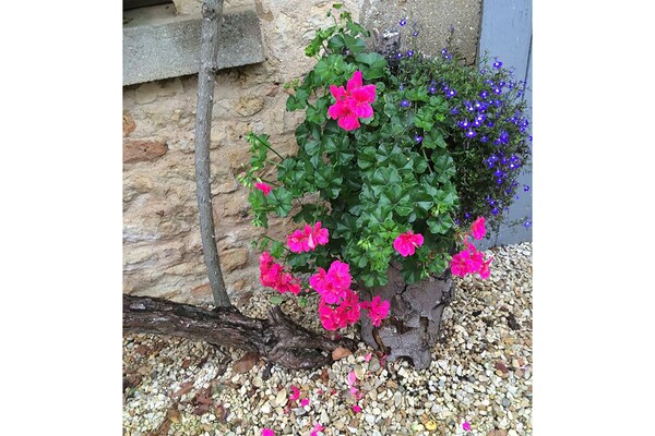Foto van Vakantiehuis in Charente met zwembad - Vakantiehuis in La Forêt-de-Tessé - GardenSummer