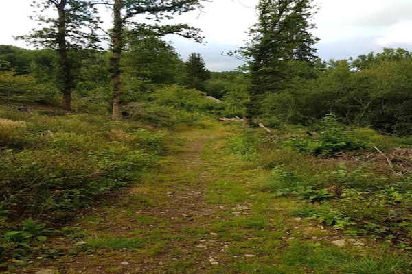 Foto van Charmant vakantiehuis met privézwembad - Vakantiehuis in HAUTEFORT - AreaSummer20KM