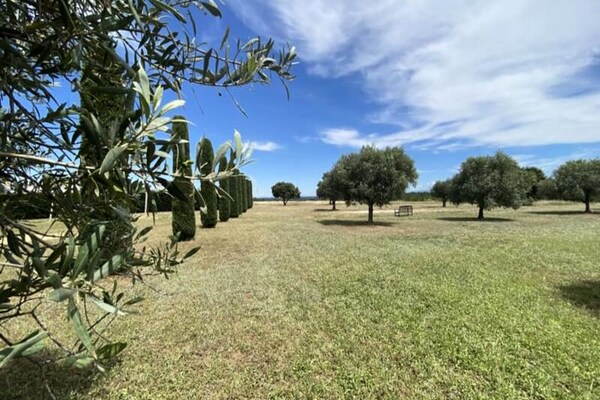 Foto van Appartementen voor 4 personen - Vakantiehuis in Brunet - Untagged