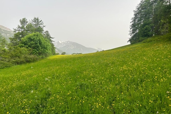 Foto van Appartement in Frankrijk bij Skilift - Vakantiehuis in Allos - AreaSummer20KM