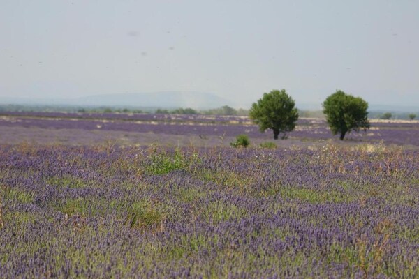 Foto van Appartement in Gréoux-Les-Bains bij meren - Vakantiehuis in Gréoux-les-Bains - AreaSummer5KM