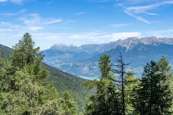 Foto van Appartement in Les Orres vlakbij lariksbos - Vakantiehuis in LES ORRES - Untagged